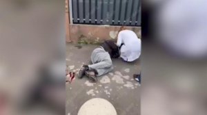 Появились новые кадры насильственной мобилизации на Украине