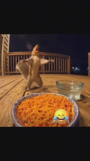 Белка🐿️ Я обожаю это видео🥹😭🥰