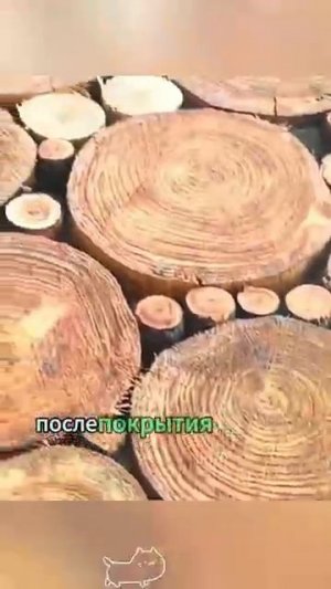 Пол из дерева, как вам? За место плитки, паркета и ламината.