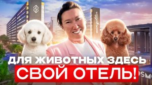 Nirvana Cosmopolitan — VIP-обслуживание для вашего питомца! Турецкий Pet-Friendly отель и это не все