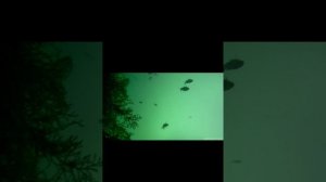 рыбалка на Чёрном море,  Геленджик,  подводные съёмки. Октябрь  2025г.