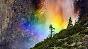 Трамплин боли