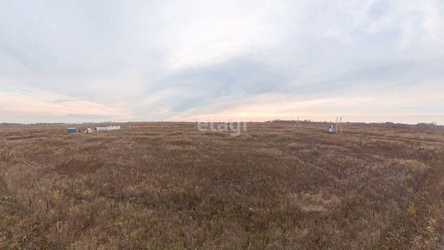 10101345 смотреть онлайн