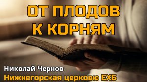 От плодов к корням (Николай Чернов)