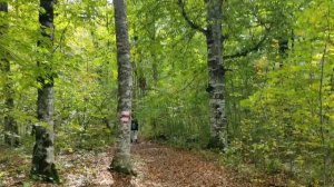 Лаго-Наки_Чëртов палец_08.10.2025