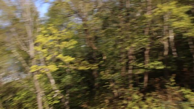 Балтика! Светлогорский фуникулёр! смотреть онлайн