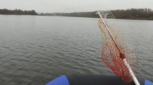 лоцман 300 + Тохатсу 9,8