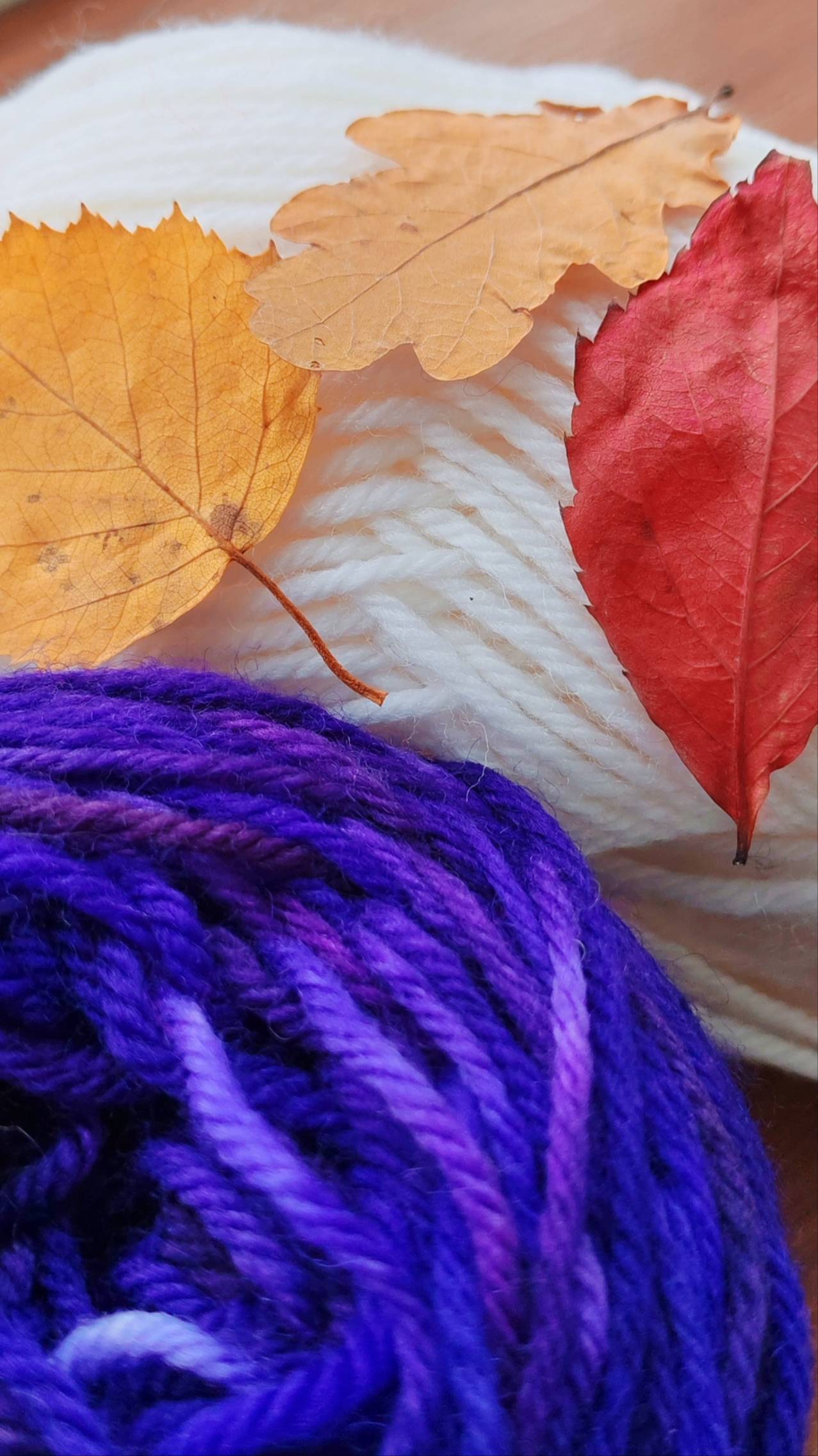 Носки с ароматом моря 🧶 смотреть онлайн