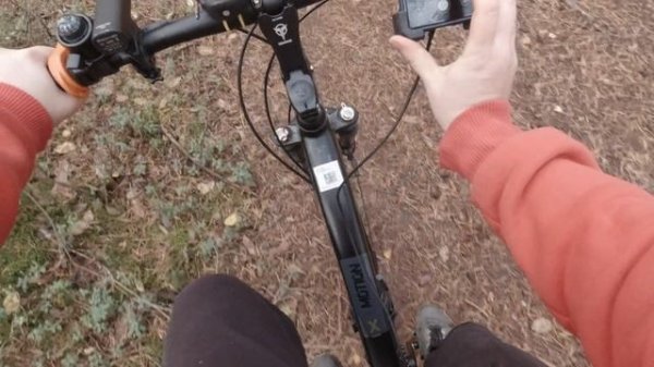 Stern Motion X - Идеальный туринг