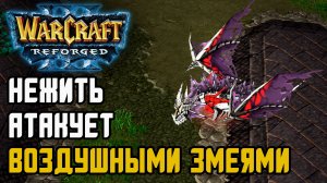 НЕЖИТЬ АТАКУЕТ ВОЗДУШНЫМИ ЗМЕЯМИ: Edo (Ud) vs Maiev (Ne) Warcraft 3 Reforged
