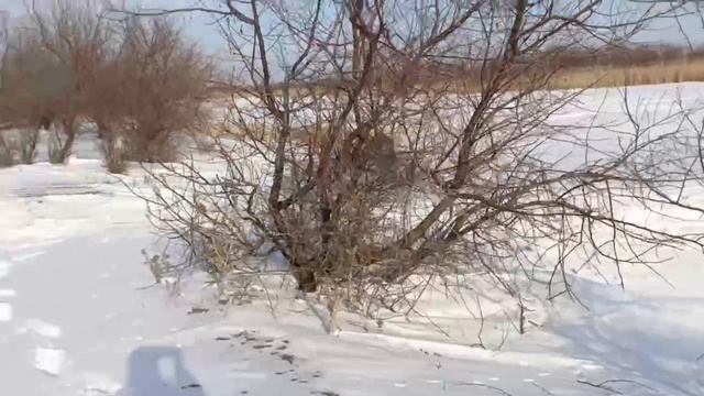 март 25 смотреть онлайн