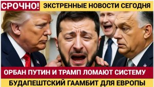 ПУТИН И ТРАМП ВЗОРВАЛИ МИРОВУЮ ПОЛИТИКУ! Один звонок — и «Томагавки» Упали в море