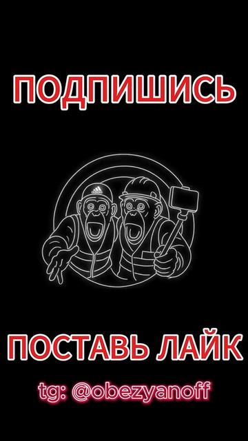 Братья Обезьяновы гонщики