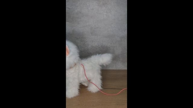 copy_E0005797-35A9-4507-9FF4-93DB2C27234C