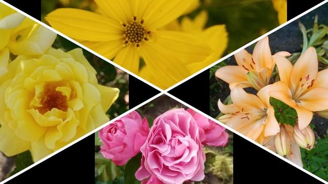 если бы не было тебя смотреть онлайн