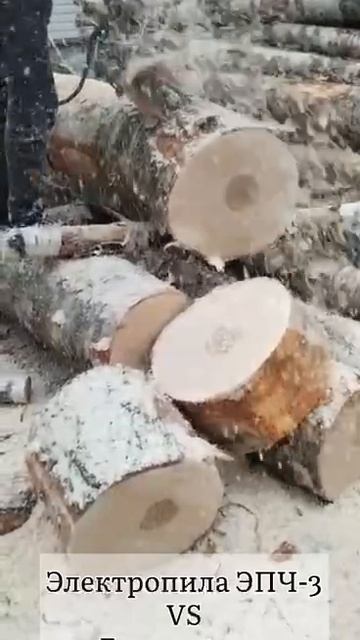 Цепная электропила пилит березу