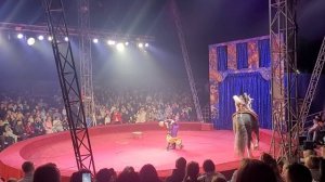 цирк счастья