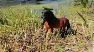 Осень VS лето