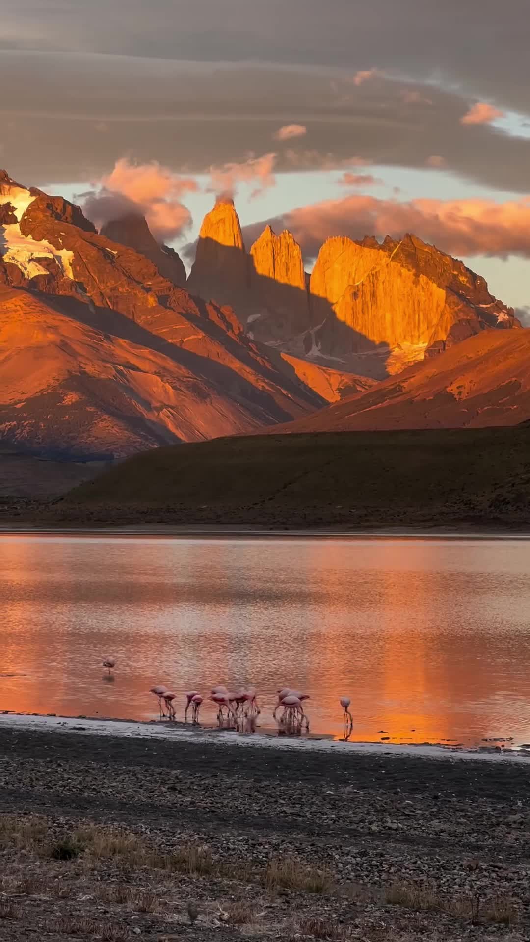 Один из самых впечатляющих уголков Патагонии — национальный парк Торрес-дель-Пайне. Он был основа... смотреть онлайн