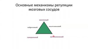 Клиническая физиология в нейро-ОРИТ Ошоров А.В. 2024