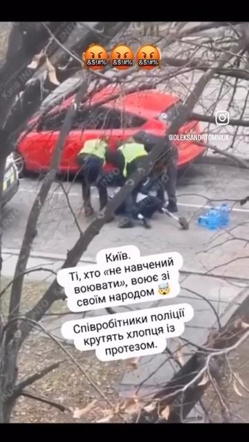 Свиньи из тцк пытаются схватить безногую овцу смотреть онлайн