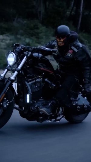 Harley Davidson Sportster 1200 #shorts