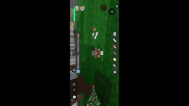 я вернулся!