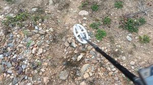 Поиск золота