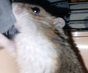 ребят только не не снимайте штаны от моей информации