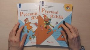как НАД ДЕТЬМИ ИЗДЕВАЕТСЯ учебник РУССКОГО ЯЗЫКА