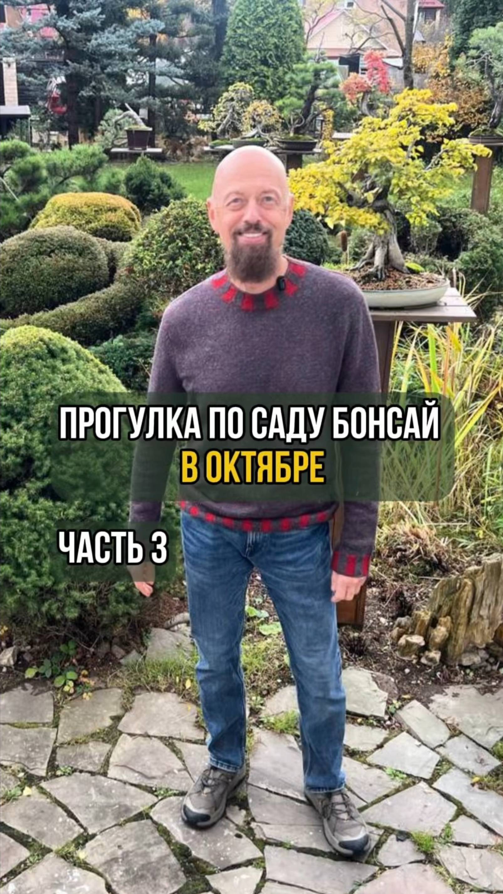 Прогулка по саду бонсай в октябре 🌳 часть 3 смотреть онлайн