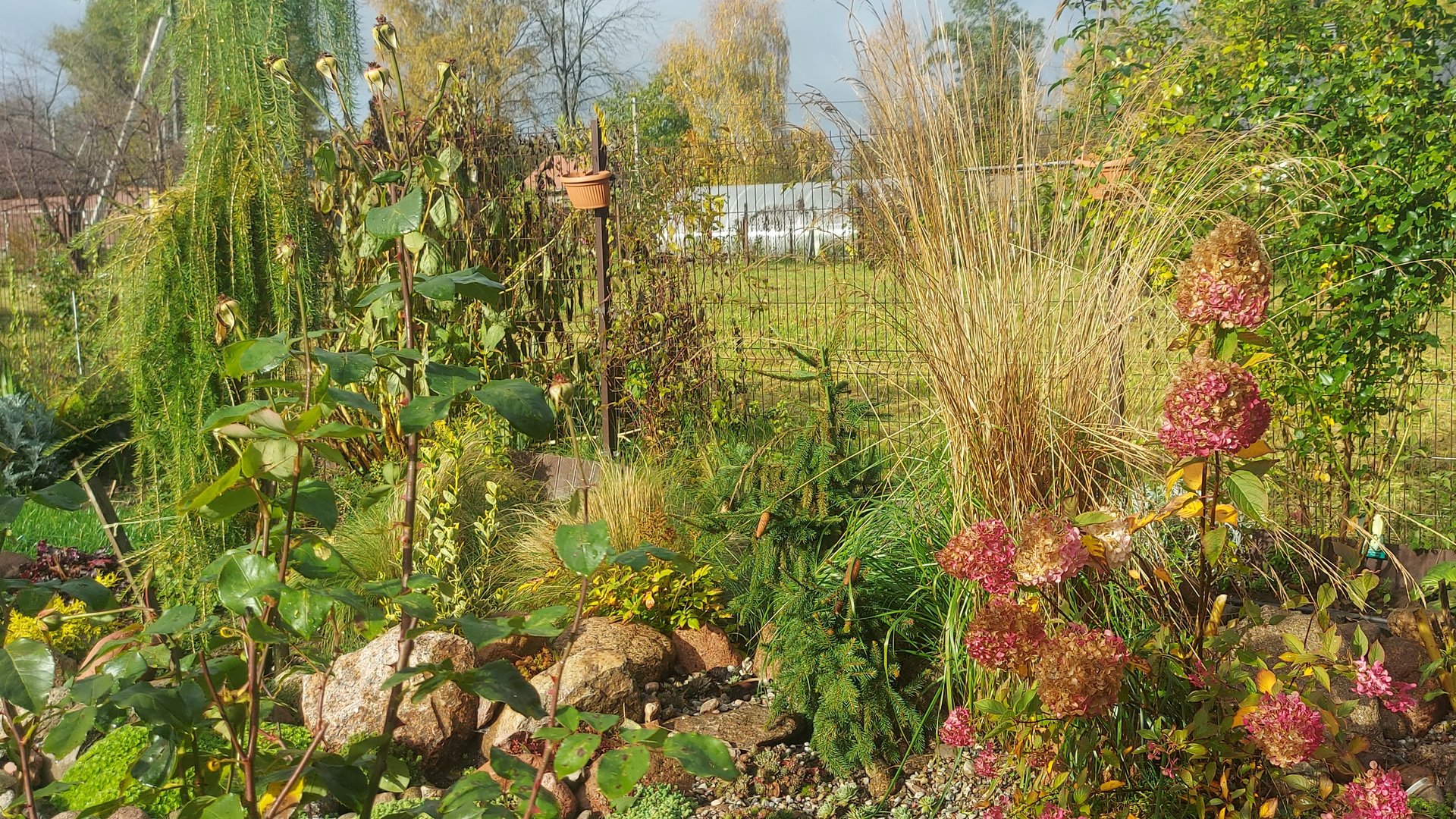 Отпуск садовода мне только снится.🙃Работы на даче ещё хватает🙄#дачныехлопоты смотреть онлайн