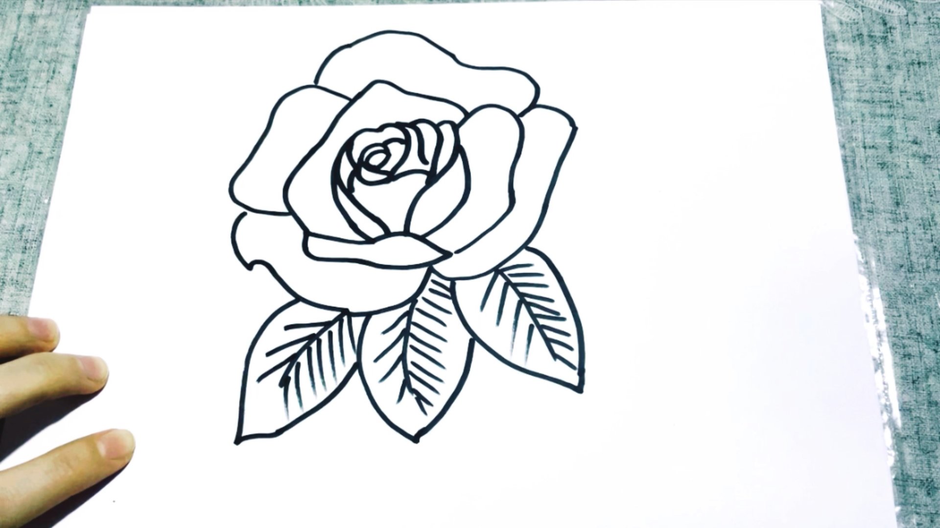 Роза. Цветок. Рисуем Вместе. 🌹 смотреть онлайн