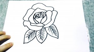 Роза. Цветок. Рисуем Вместе. 🌹