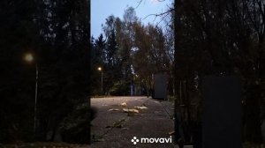 Осенние покатушки на крутом электросамокате Aovo m 365 pro