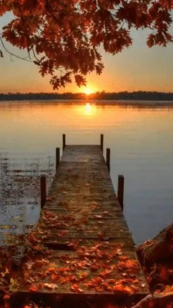 Если хочешь ... смотреть онлайн