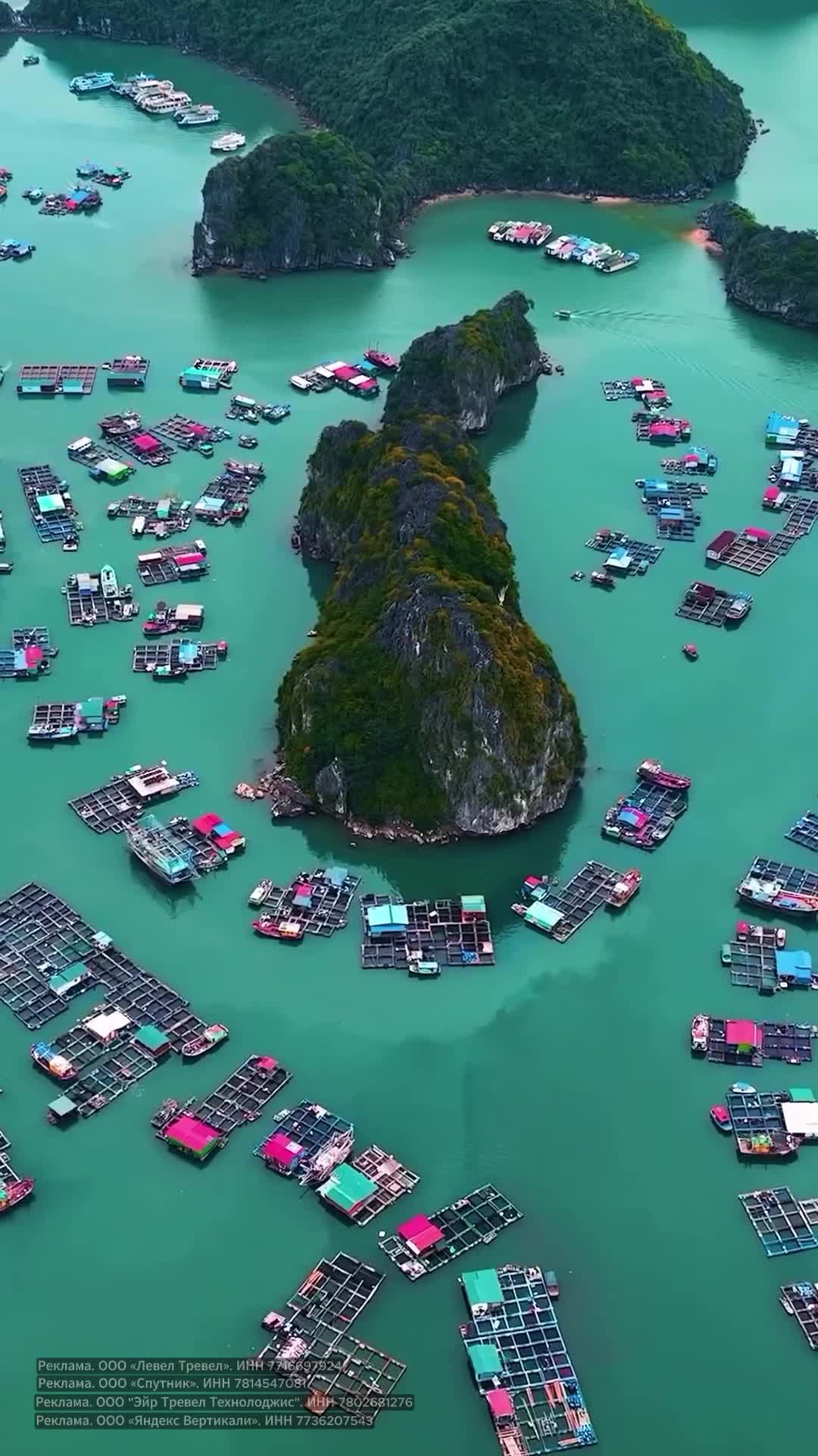 Рыбацкая деревня на острове Кат Ба представляет собой одну из крупнейших плавучих деревень во Вье... смотреть онлайн