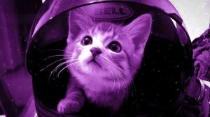 1 Hour Chill Phonk Mix – Relaxing Night Ride, Hardwave & Atmospheric Vibes