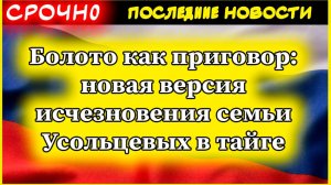 Таинственное исчезновение семьи Усольцевых: новая страшная версия — болото как приговор