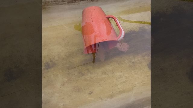 рыбы1 смотреть онлайн