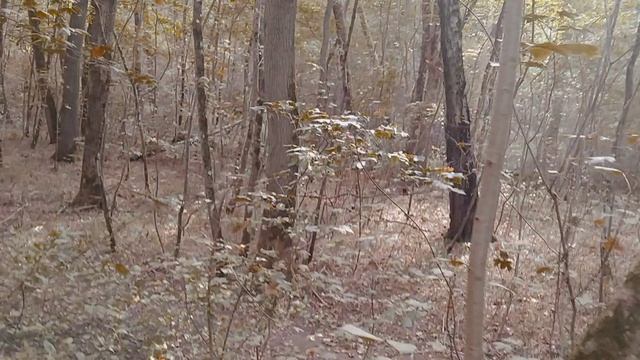 VID20251001130554 смотреть онлайн