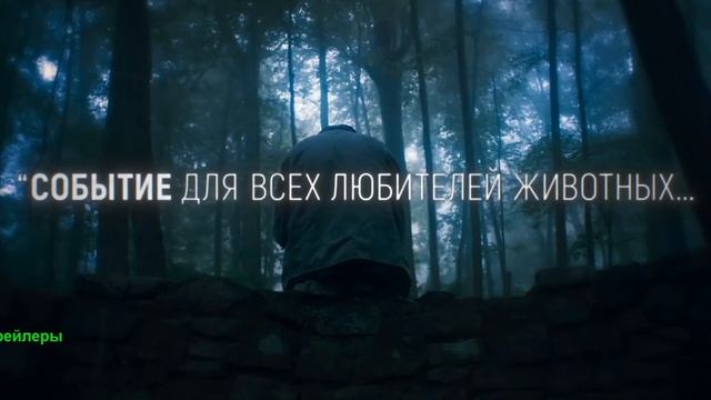 Глазами пса. Фильм 2025. Русский трейлер фильма. смотреть онлайн