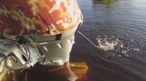 Хонда 30. Тест нового гребного винта.Лодка Казанка 5м3.