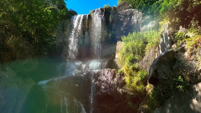 Дикие животные и природа в 4К качестве смотреть онлайн