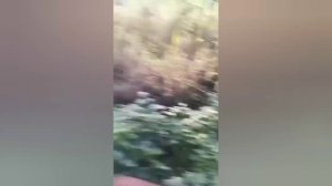 Юмор,приколы,испуг49