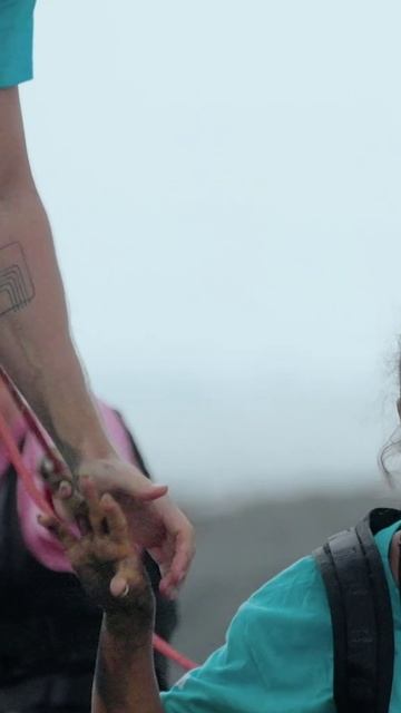 #shorts смотреть онлайн