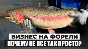 Ошибки при Выращивании ФОРЕЛИ, из-за которых Фермы ТЕРЯЮТ МИЛЛИОНЫ! Как Выращивать ФОРЕЛЬ В УЗВ?