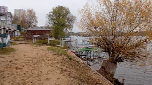 Спокойная осенняя прогулка  🍁🍂😊🐾🐻❤️#маламут VID_20251019_133439