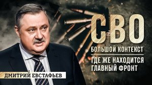 Дмитрий Евстафьев: где же находится главный фронт?
