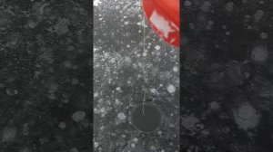 Первый лед ❄ 19 октября 2025 Якутия